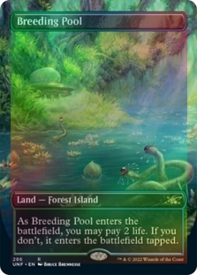 Foil Blood Crypt (borderless) M/NM Magic: The Gathering MTG